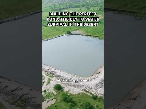 Building the Perfect Pond: The Key to Water Survival in the Thar Desert