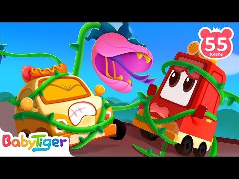 瘋狂的植物 + 更多汽車兒歌合集 | 寶寶喜歡的賽車 | 守護朋友 | 超級汽車第三季 | 交通工具認知 | 汽車動畫片 | 貝樂虎BabyTiger