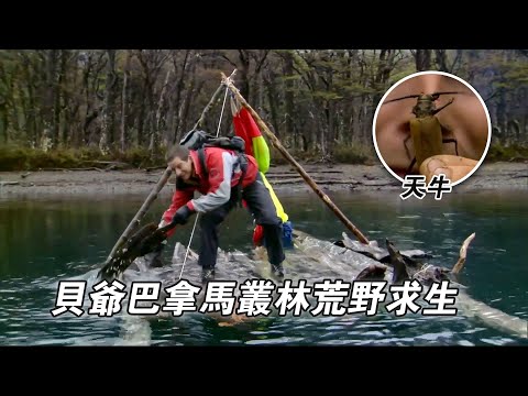 貝爺巴拿馬叢林挑戰荒野求生，享用天牛刺生，勇闖蝰蛇洞，雪地副本靠吃草充飢，打造木筏過河！紀錄片