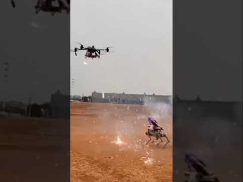 Robotic Dog vs. Drone: Who Wins? 🤖