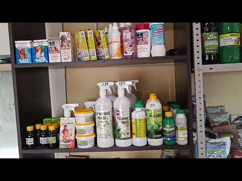 Не сидится в мороз дома/