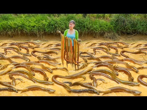 Hand Catching A Lot Of Eels At Mud Pond Go To Countryside Market Sell | Ly Tieu Toan