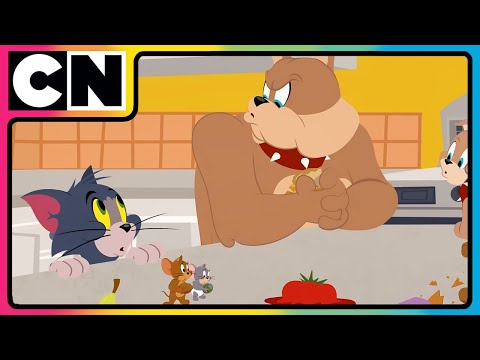 Tom & Jerry😺🐭| Jerry’s Art of Escape!🫣| Cartoon for Kids ✨| Cat & The Mouse | @cnindia