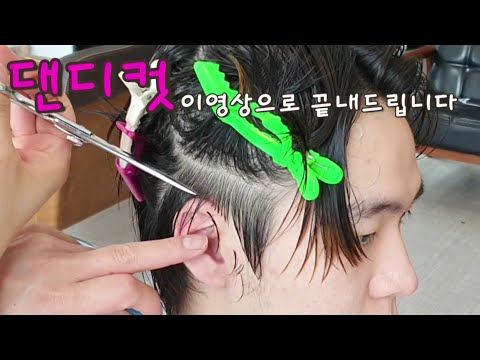 댄디컷 이영상으로 끝내드립니다~쉽게쉽게 자르는방법&구독자 교육영상&