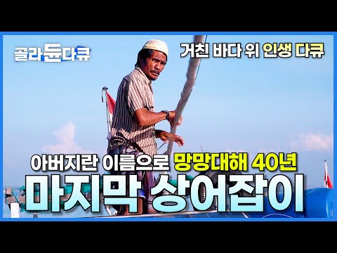 망망대해 40년간 상어와 싸운 남자의 마지막 항해│명작 다큐 영화│길 위의 인생│#골라듄다큐