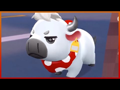 할말이 없네 걍 개웃김ㅋㅋㅋ 소과금 1대장 ►흰소◀︎ 출시