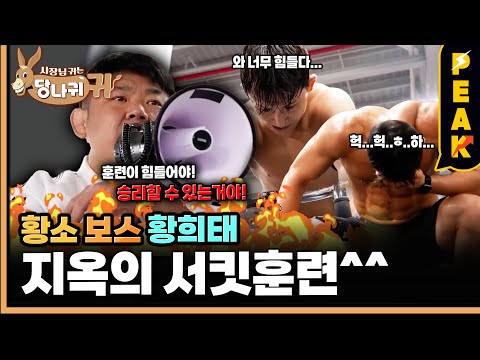 [#피크타임] 상상도 못 할 운동량! 황소 보스 황희태와 국가대표 유도팀 지옥의 서킷 훈련! | #사장님귀는당나귀귀 | KBS 251019 방송