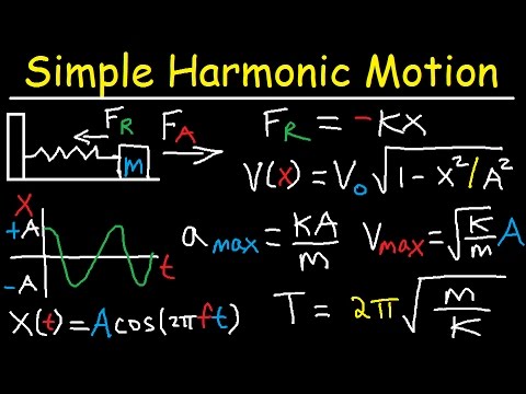 Simple Harmonic Motion, Mass Spring System - Amplitude, Frequency, Velocity - Physics Problems