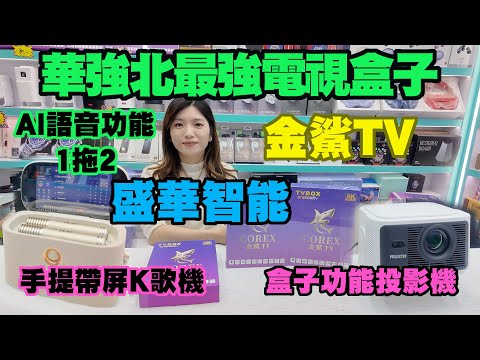 【華強北最強電視盒子 ｜金鯊TV】盛華智能獨家AI語音搜尋+1拖2 APP共享｜手提帶屏卡拉OK機 ｜盒子功能投影機