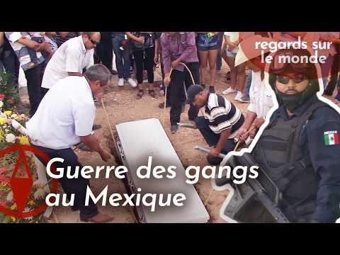 Mexico : La Police Face à la Guerre des Gangs | Villes Violentes | Documentaire HD