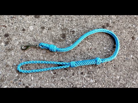 Fancy paracord dog leash