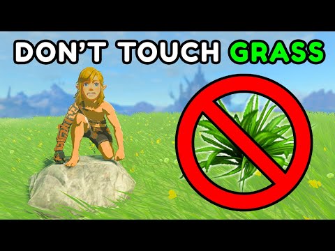 Can You Beat Tears of the Kingdom without touching grass?