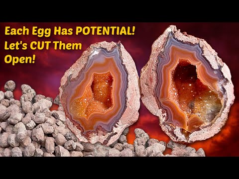 We hit the Gemstone Jackpot!