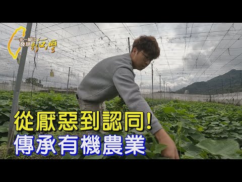 接受?改變?科技QC花十年與父親磨合 善用"品管"成功傳承有機農業∣一步一腳印【第二代菜農十年體悟】20250302