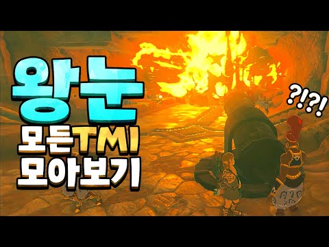 왕눈 신박한 디테일과 TMI 총모음집 part2 (젤다의 전설 티어스 오브 더 킹덤)
