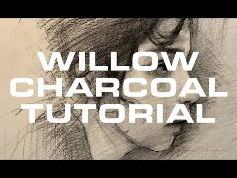 WILLOW CHARCOAL PORTRAIT DRAWING TUTORIAL