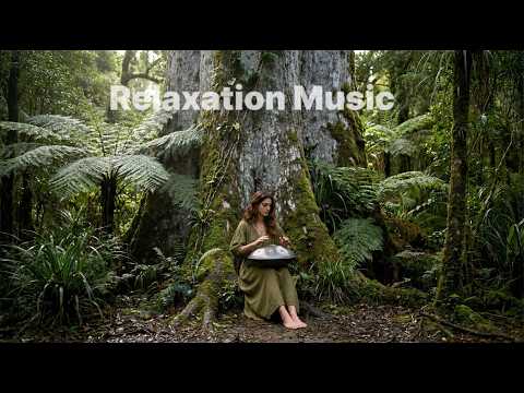 🌿 Ancient Forest Healing | Handpan & Native Flute in Waipoua Forest (1-Hour Primeval)