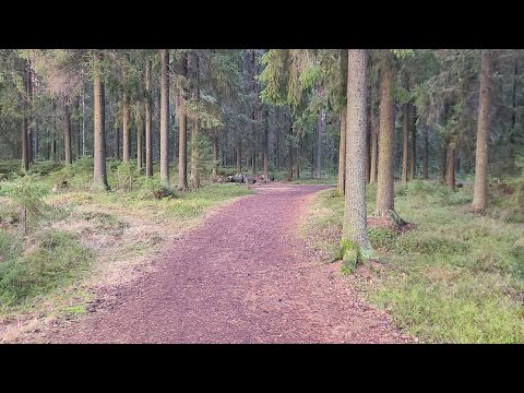 Выход через Беларусь