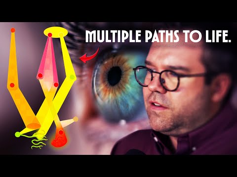 The Universal Hierarchy of Life - Prof. Chris Kempes [SFI]