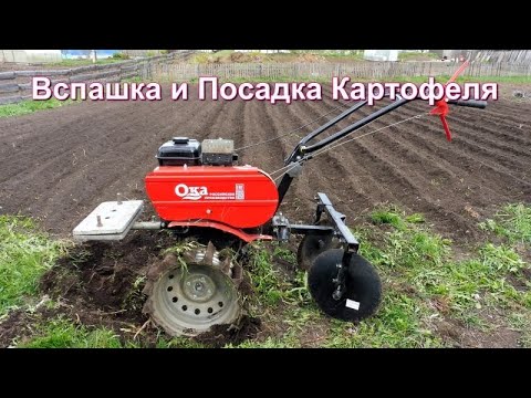 Plowing and cutting ridges - Quick potato planting with the Oka walk-behind tractor.