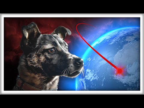 ¿Qué Pasó con la Perra Laika?