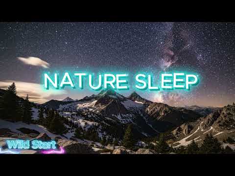 Deep Sleep Music with Mountain Night Ambience | Fall Asleep Fast and Stay Asleep