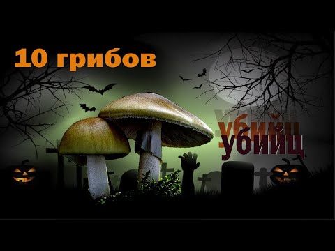 DEADLY POISONOUS MUSHROOMS OF UKRAINE