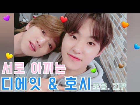 [세븐틴/ 디에잇/ 호시] 서로 아끼는 명호, 순영 모음