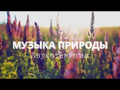 Музыка природы звукотерапия | 1 час красивой музыки для души на гуслях