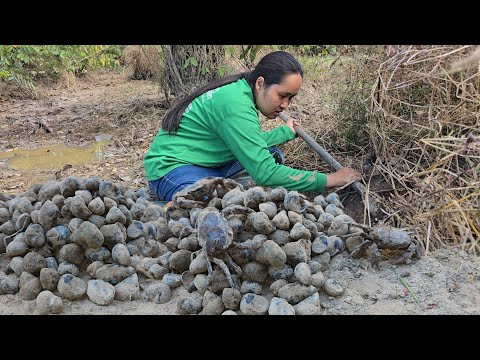 ลงทุ่งลงท่า บรรยากาศดีๆ!! หาหอยน้ำแห้ง หรือหอยเข้าไง!! ขุดปูนา ลุ้นความหมานวันนี้!!17 ธ.ค 2568