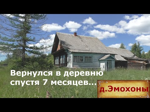 Many people wanted to come here! Emohony village. Return to the abandoned village. Cozy village