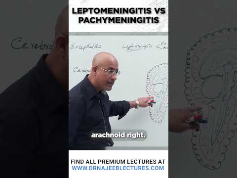 Leptomeningitis vs Pachymeningitis