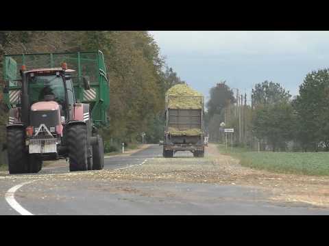 Два CLAAS Jaguar 870 в Деле! Масштабная Уборка Кукурузы на Силос | John Deere, МТЗ, МАЗ