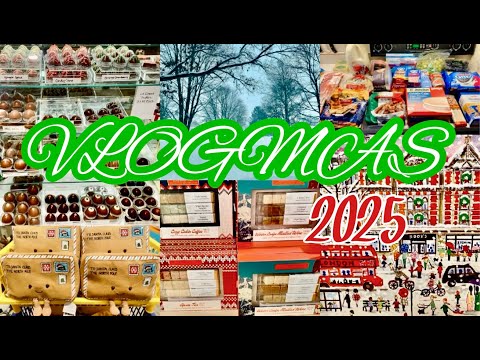 VLOGMAS DAY 15 // SNOW STORM | Shop With Me At My Favorite Store : ART MART! + Grocery Haul