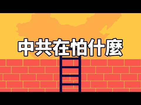 你以為它在保護你