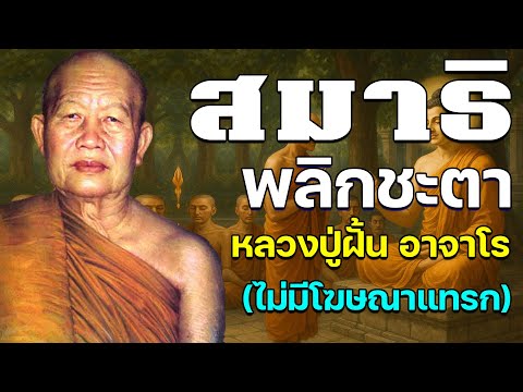 สมาธิ พลิกชะตา โดย หลวงปู่ฝั้น อาจาโร (ไม่มีโฆษณาแทรก)(เสียงจริงอ่านเองไม่ใช้เอไอ)
