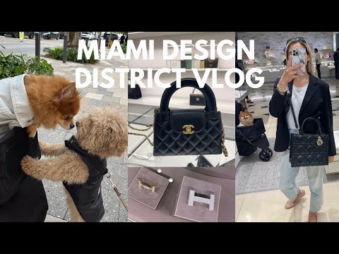 MIAMI DESIGN DISTRICT LUXURY SHOPPING VLOG| CHANEL, LV, HERMÉS, LOUBOUTIN ✨ 💖💕🌴 🛍️ 💳👠