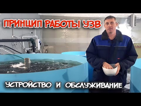 ПРИНЦИП РАБОТЫ эффективного УЗВ. УСТРОЙСТВО и ОБСЛУЖИВАНИЕ моего УЗВ.
