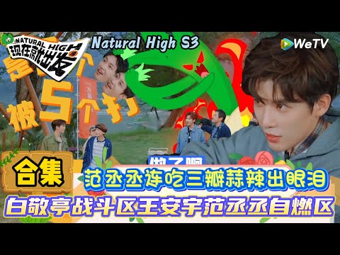 【现在就出发 第3季】做饭吃饭合集合集：范丞丞吃饭跑了个半马，白敬亭金晨把窝瓜认成甜瓜 | Natural High S3#现在就出发3#综艺#沈腾#范丞丞#王安宇#贾冰#黄景瑜#金晨#白敬亭