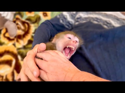 Люська УХАХАТЫВАЕТСЯ от щекотки и просит ЕЩЕ и ЕЩЕ)))