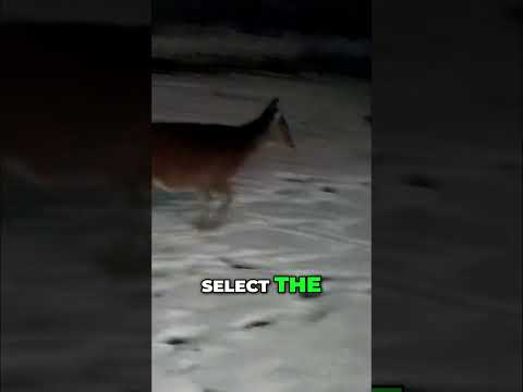 Tapo C645D Track EVERYTHING Automatically!