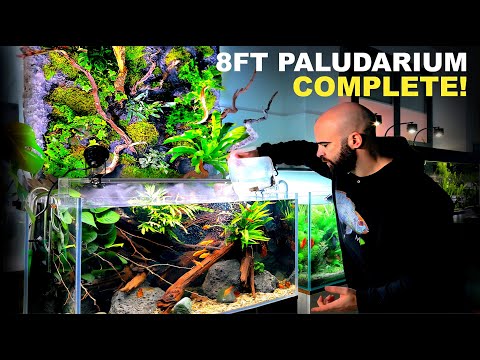 RELEASING FISH Into My Finished 8FT Paludarium [FINALE]