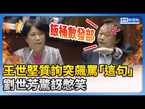 王世堅質詢突飆罵「飯桶數發部」　劉世芳驚訝憋笑 @ChinaTimes