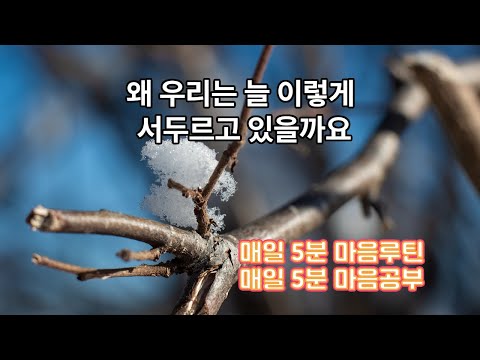 [FULL][매일 5분 마음공부] 왜 우리는 늘 이렇게 서두르고 있을까요