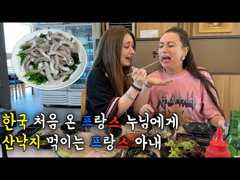 한국에 처음 방문한 프랑스 누님에게 산낙지 먹이는 프랑스 아내 ㅋㅋ