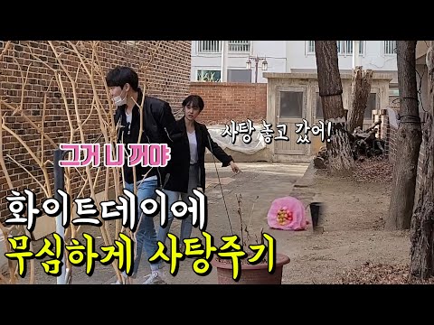 [Prank] What If You Give a Candy to a Female Friend with Put-On Nonchalance LOLOLOL