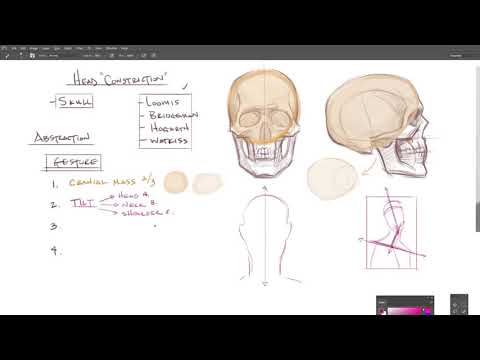 Head Drawing, Part 1: Gesture and Construction