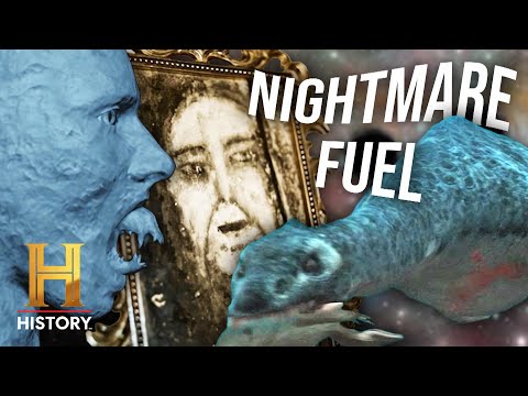 TOP 10 PARANORMAL SIGHTINGS OF 2024 | The Proof Is Out There | History