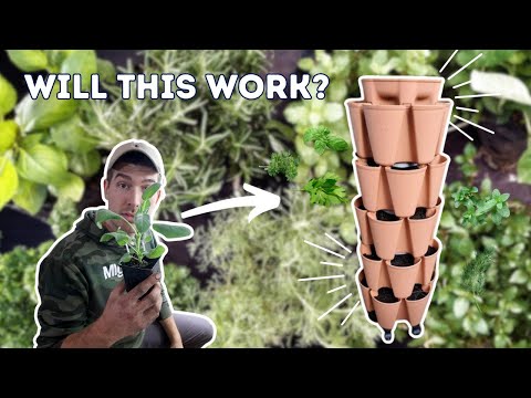 We're Trying Something We have NEVER Tried Before!