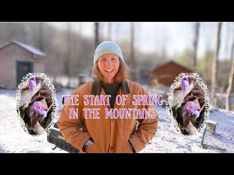 A Hard Season, A Slow Comeback | Life in the Mountains